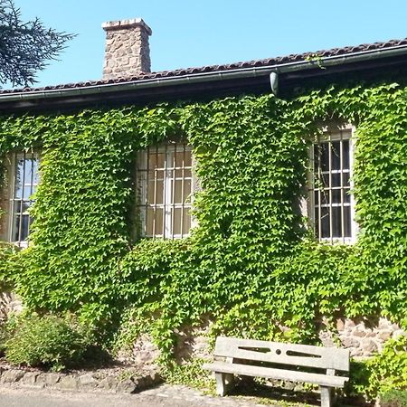 Bed and Breakfast La Ferriere Saint-Médard-en-Forez Exterior foto